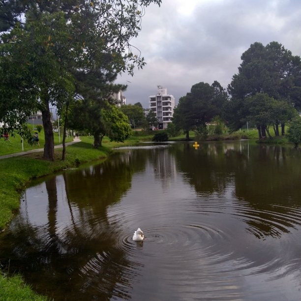 Passeio Pedra Branca景点图片