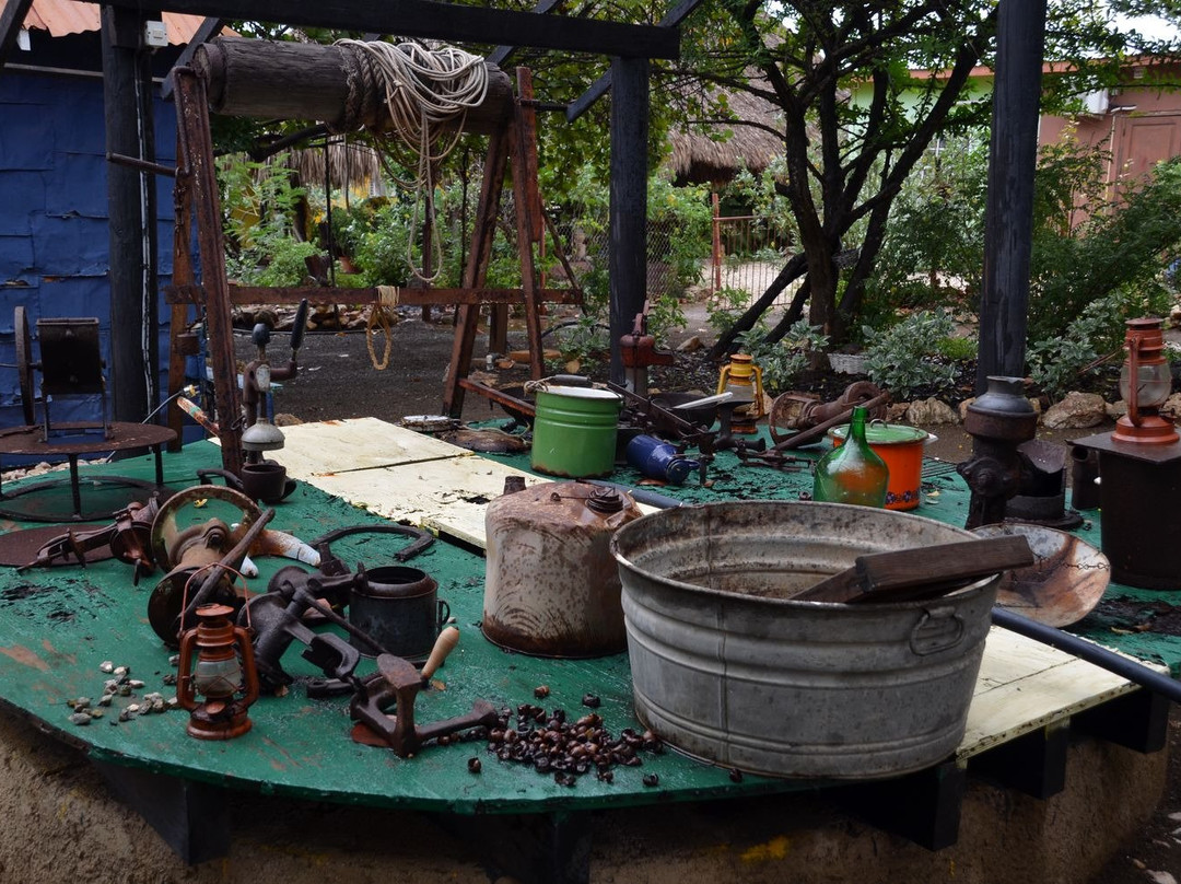 Den Paradera - Dinah's Botanic & Historic Garden-库拉索必去景点