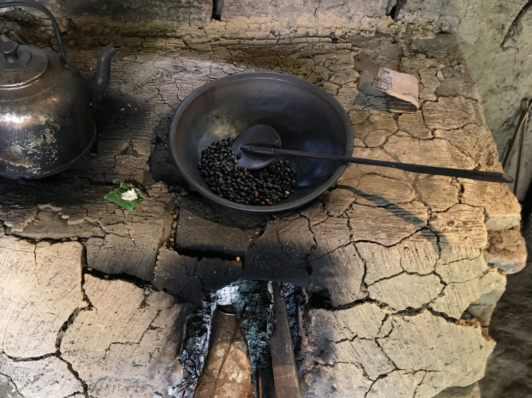 Bali Pulina Coffee Plantation-吉安雅必去景点
