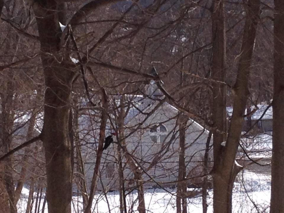 New Life Christian Church-Patterson必去景点