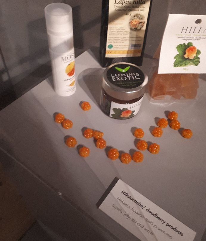 Rovaniemi Local History Museum-罗瓦涅米必去景点