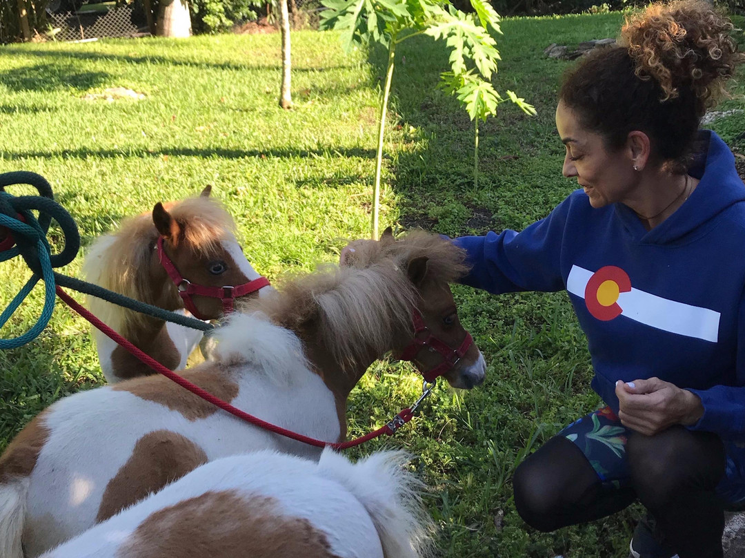 Intentions Ranch & Intentions Publishing-Southwest Ranches必去景点