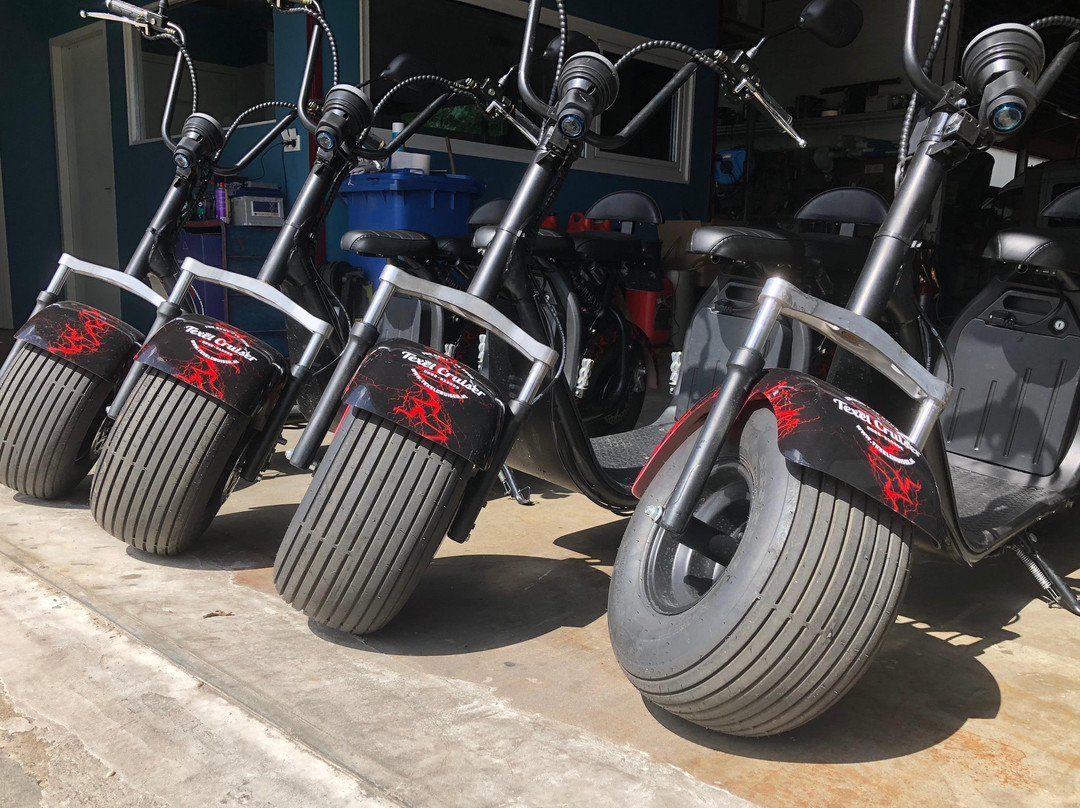 TexelCruiser-Oudeschild必去景点