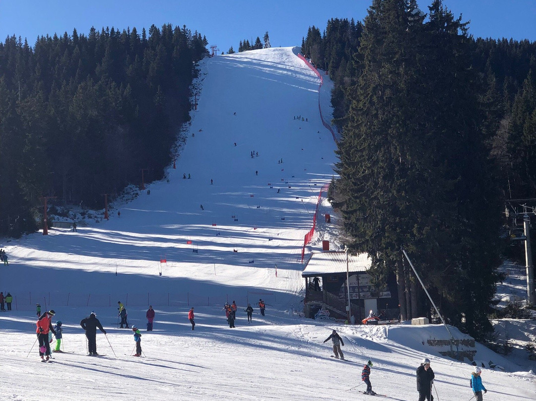 Spree Ski & Snowboard School-帕泊洛沃必去景点