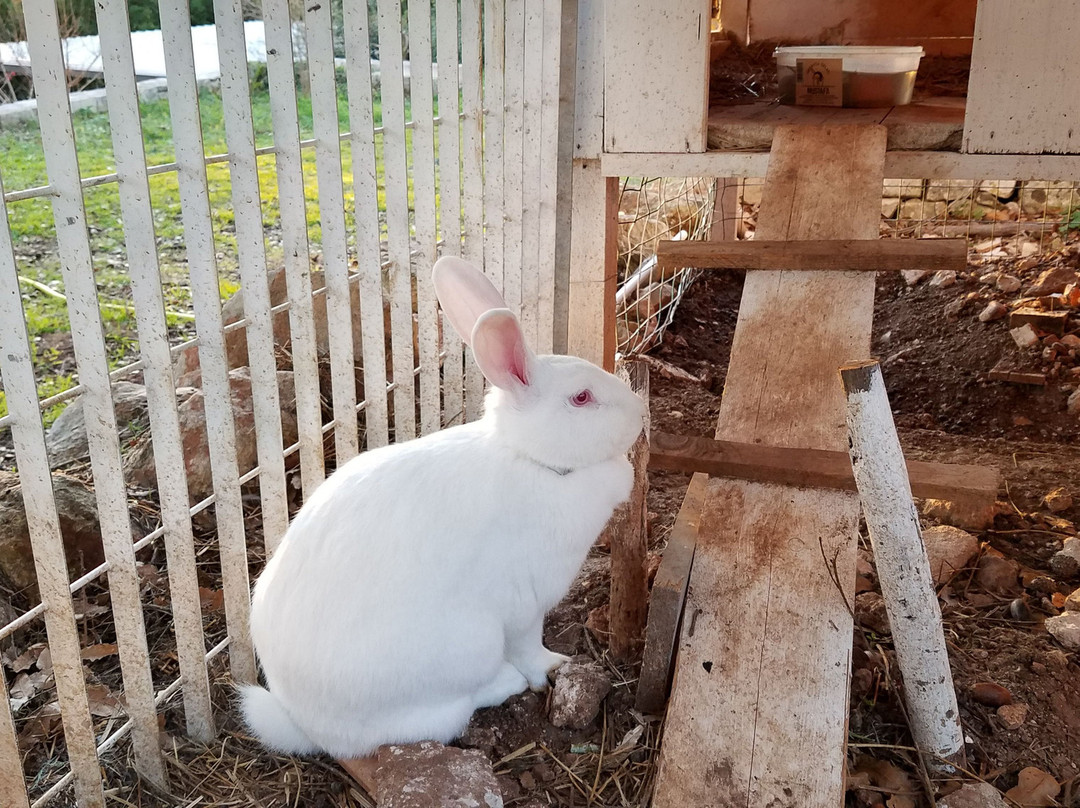 Masseria Paretano主图