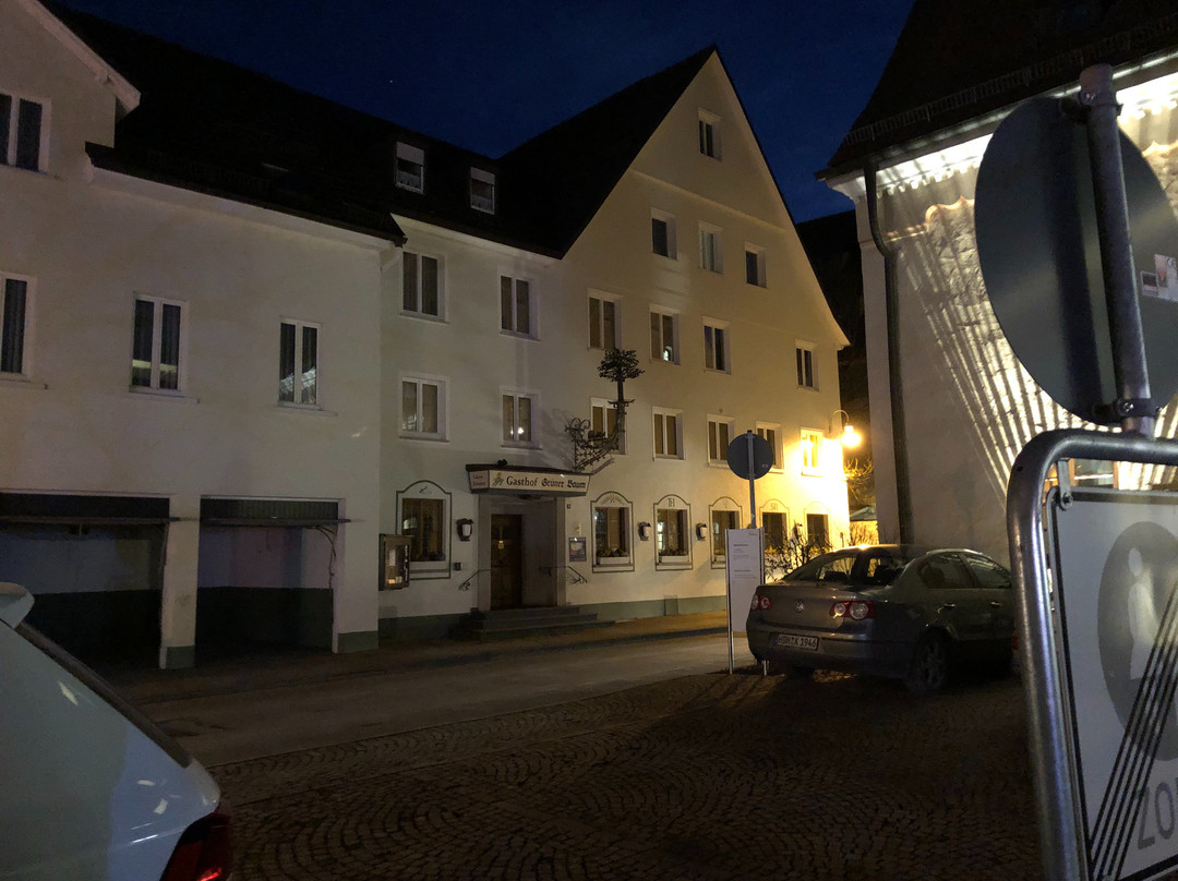 Gruener Baum Brauereigasthof主图