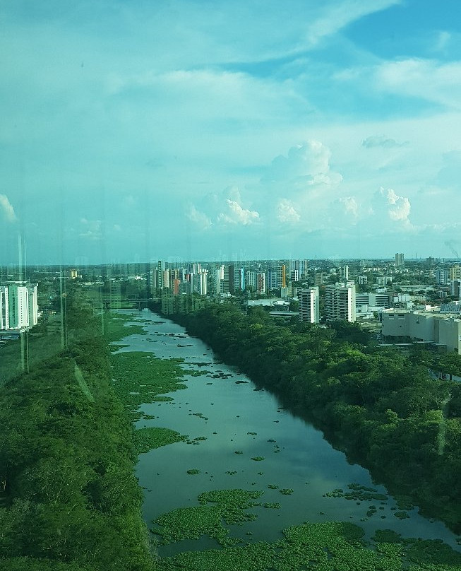 Complexo Turistico da Ponte Estaiada景点图片