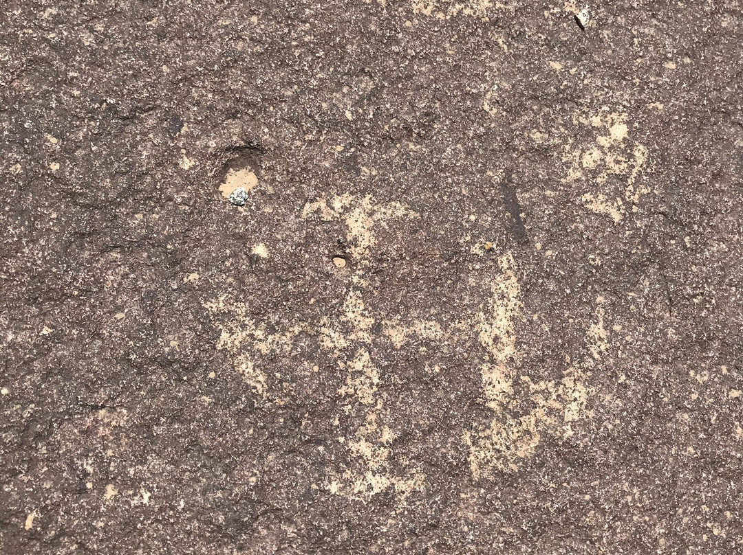 Petroglifos De Tilama景点图片