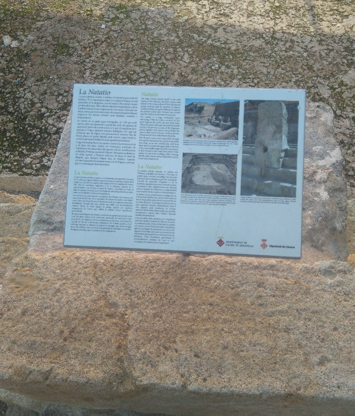 Termes Romanes, Caldes de Malavella景点图片