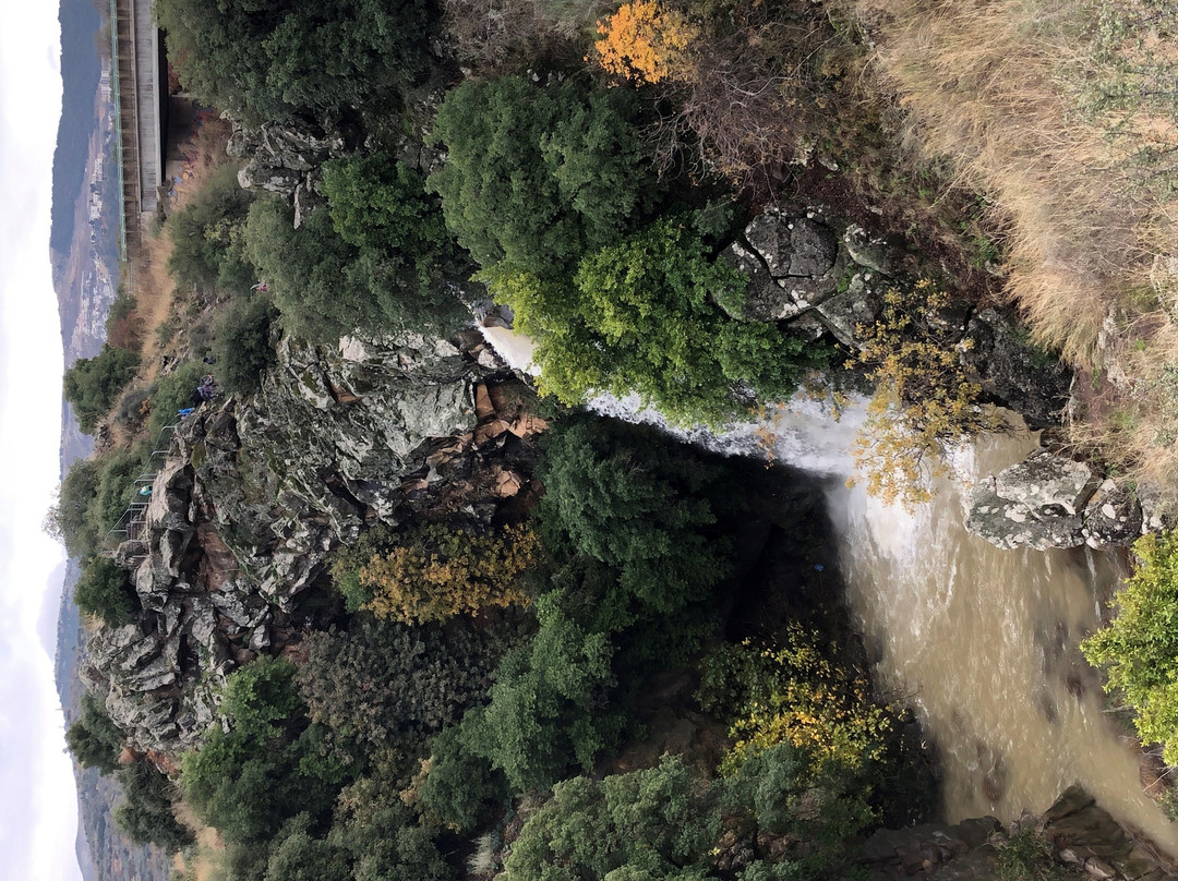 Dani Eco Tours-Haifa必去景点