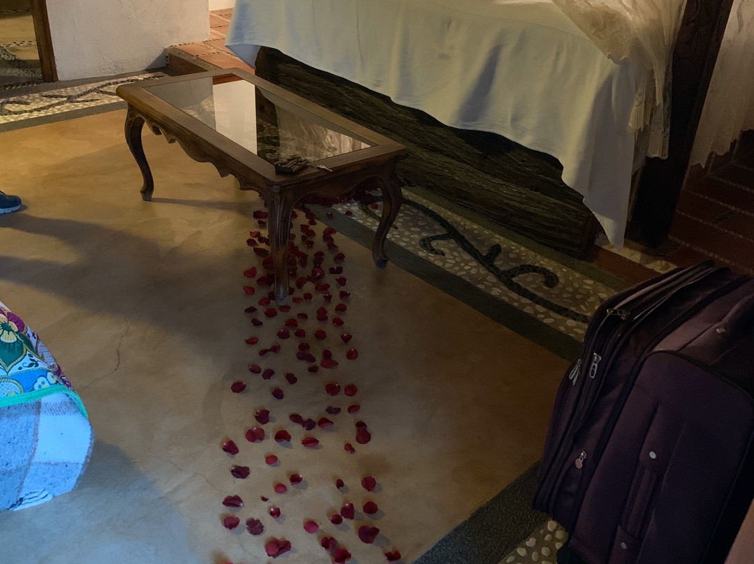 Hotel Paradise Boutique & Lounge主图