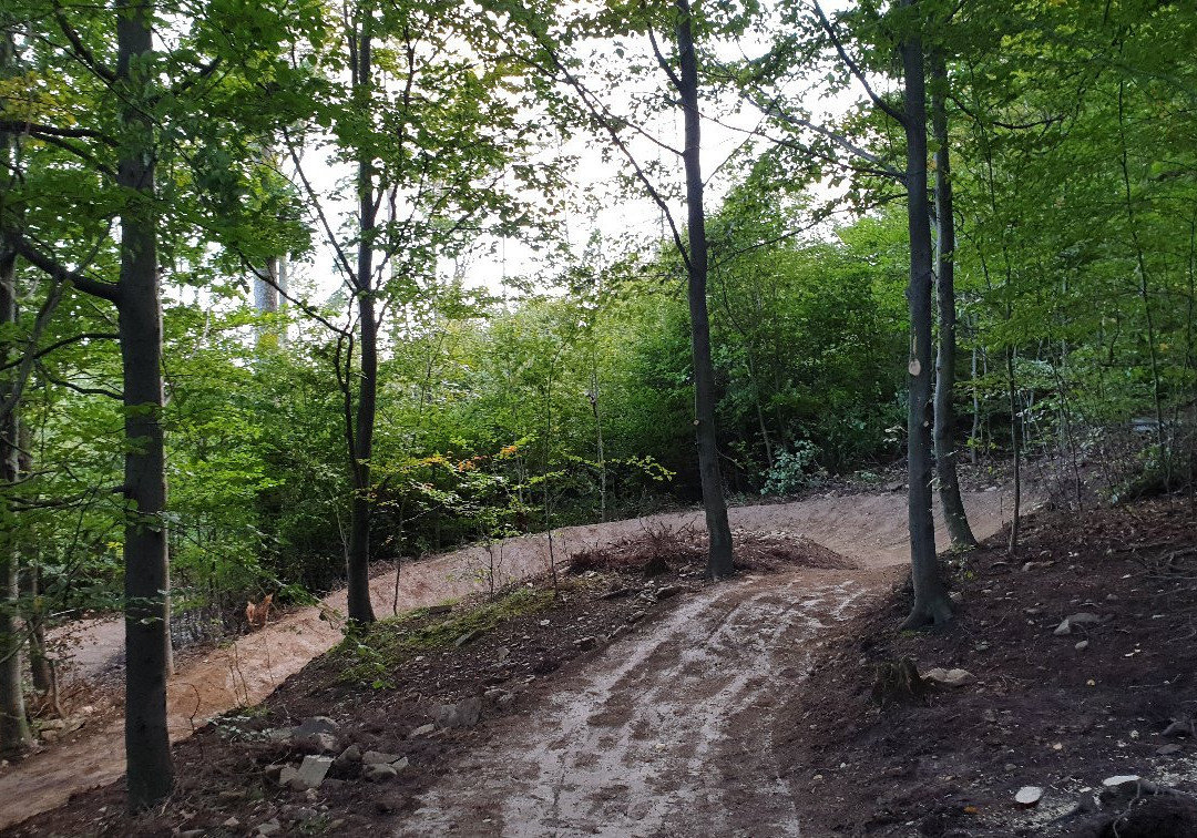 Złote Sciezki Głuchołazy - Gorskie Trasy Rowerowe Singletrack景点图片