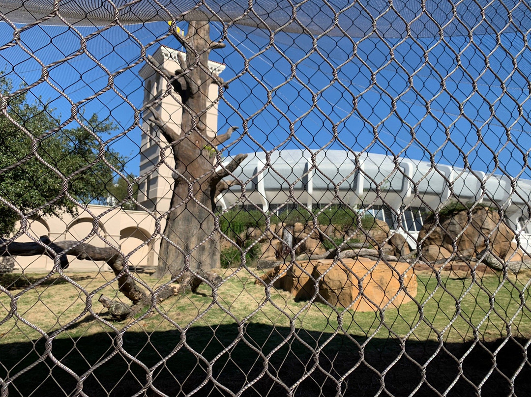 Mike the Tiger's Habitat景点图片