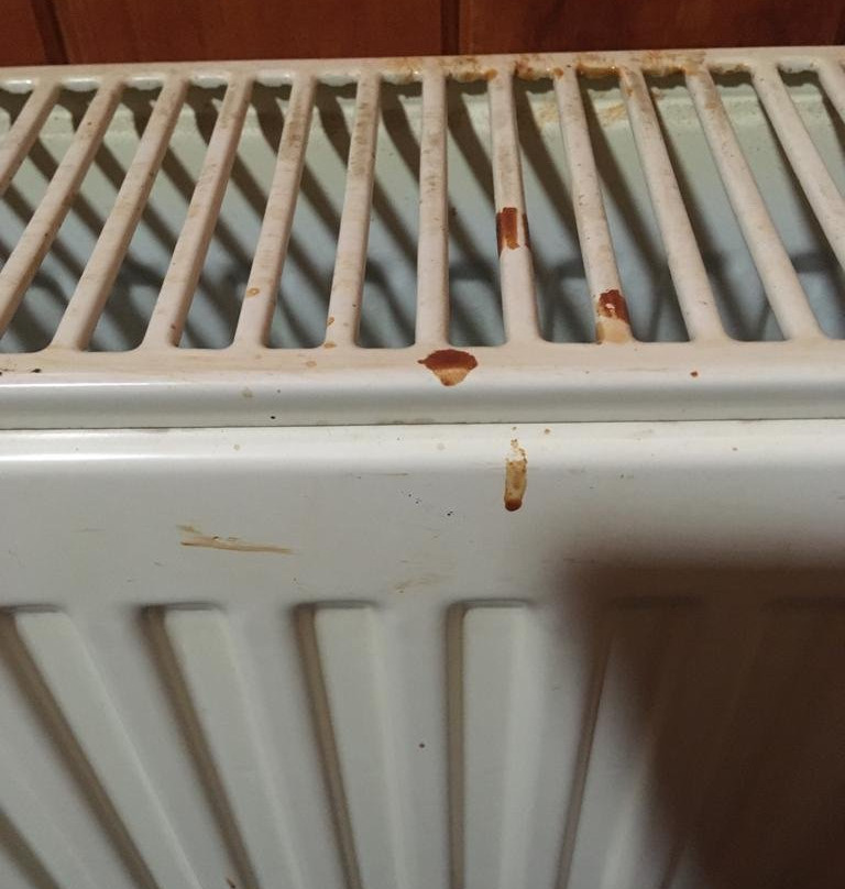 Hotel Boca Budi主图