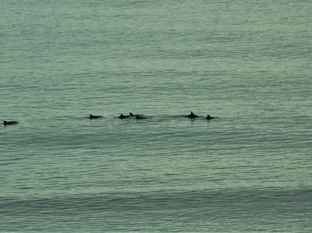 Hyatt House Virginia Beach/Oceanfront主图