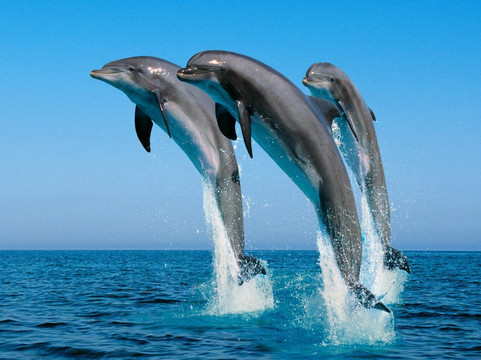 Roof Root Travel Services-赫尔格达必去景点