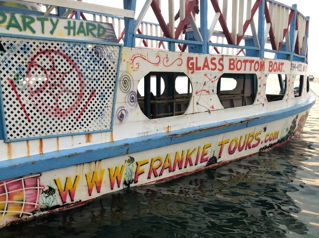 Frankie Tours & Rentals景点图片