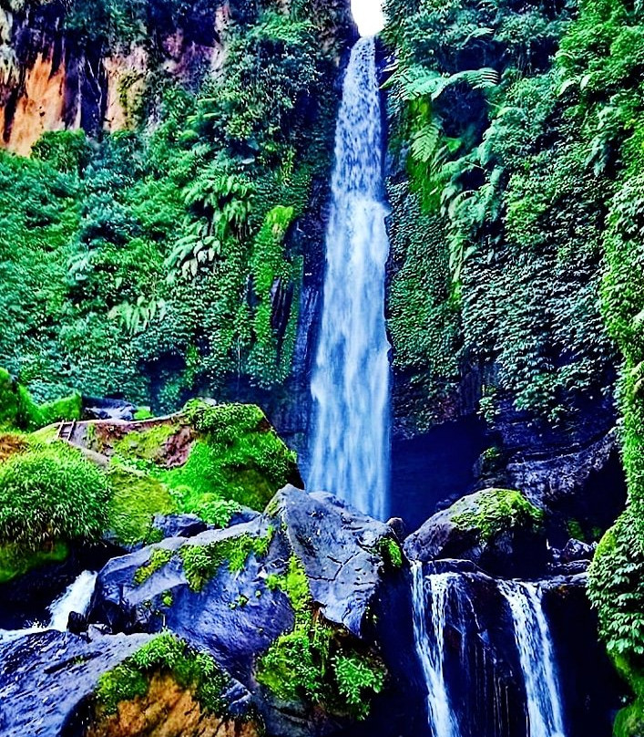 Coban Talun Waterfall景点图片