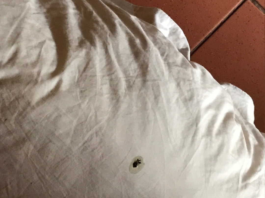 Shakaland-夸祖鲁-纳托尔省必去景点