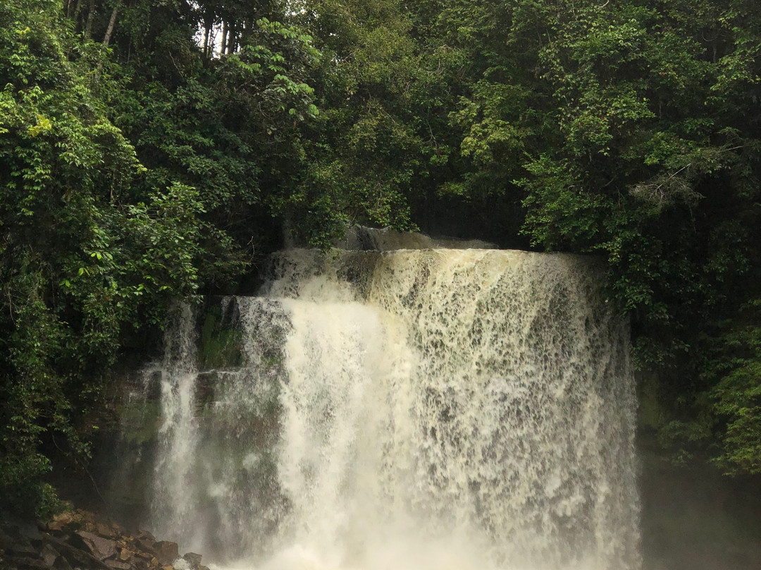 Cachoeira da Neblina-Presidente Figueiredo必去景点