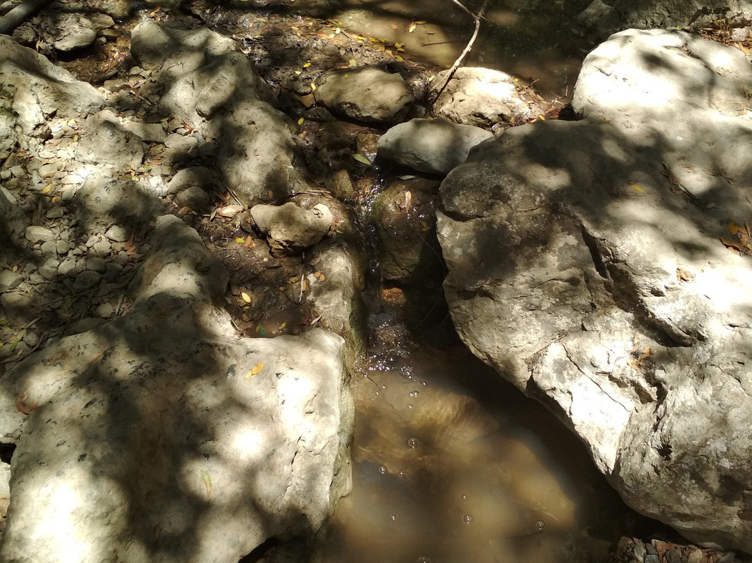 Anydri Gorge-Anidri必去景点