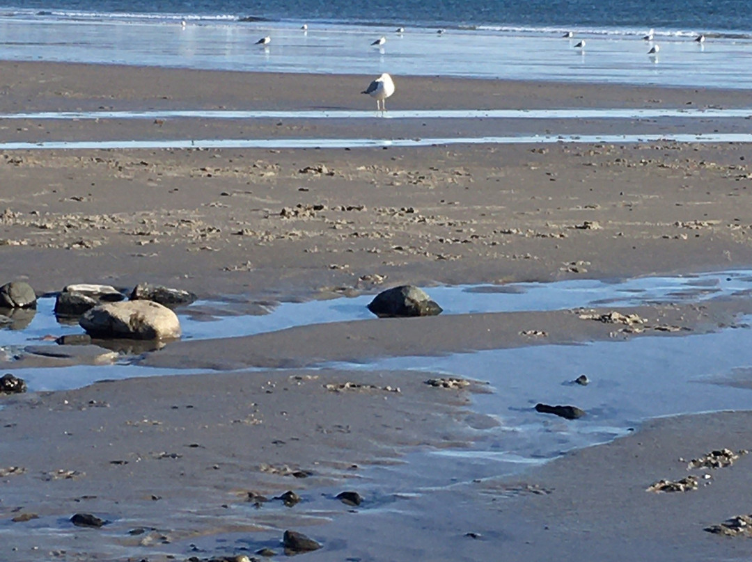 Kennebunk Beach景点图片