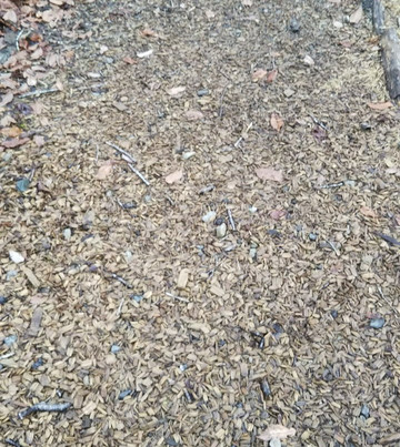 Tree Picnic Adventure Ikeda-池田町必去景点