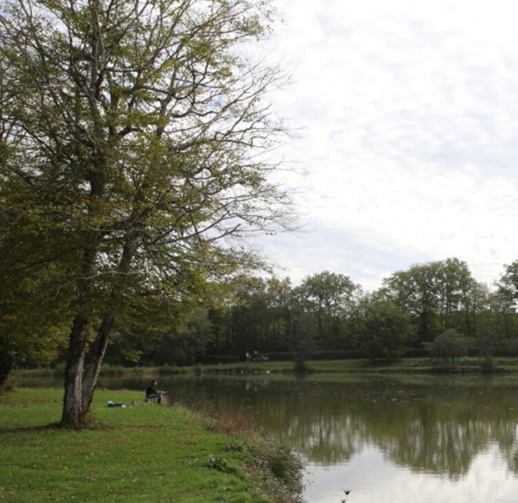 Etang De Fontaine Couverte景点图片