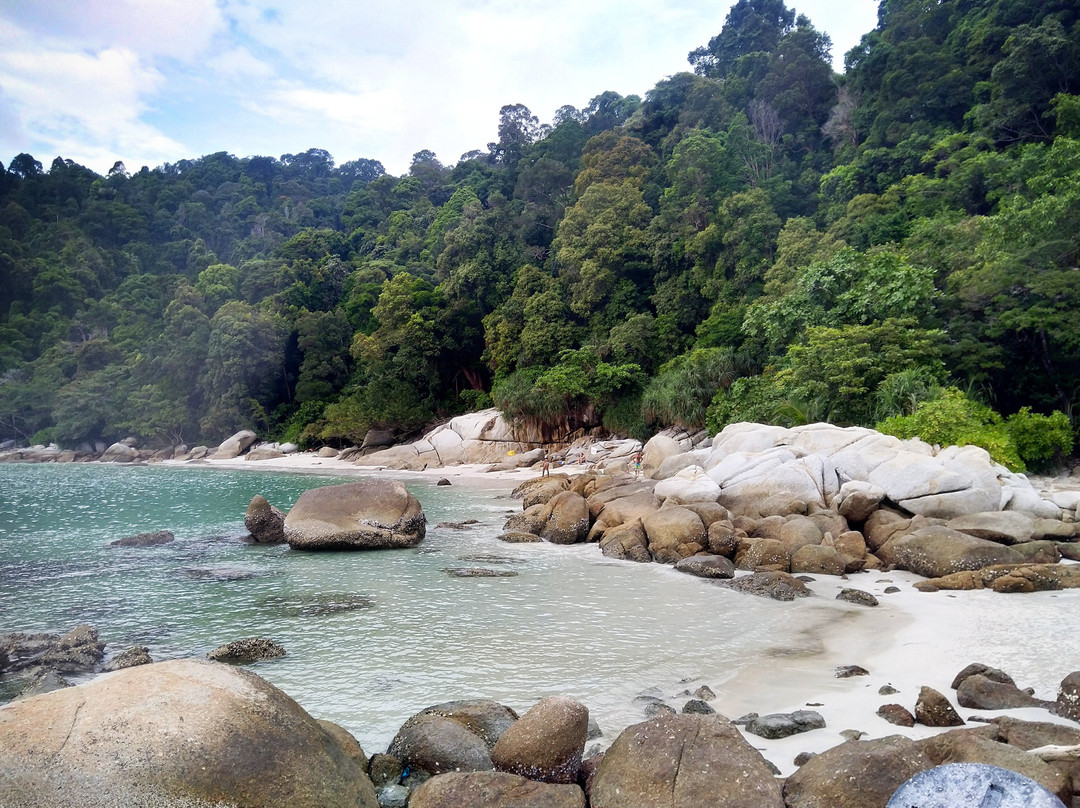 Nazri Nipah Camp主图