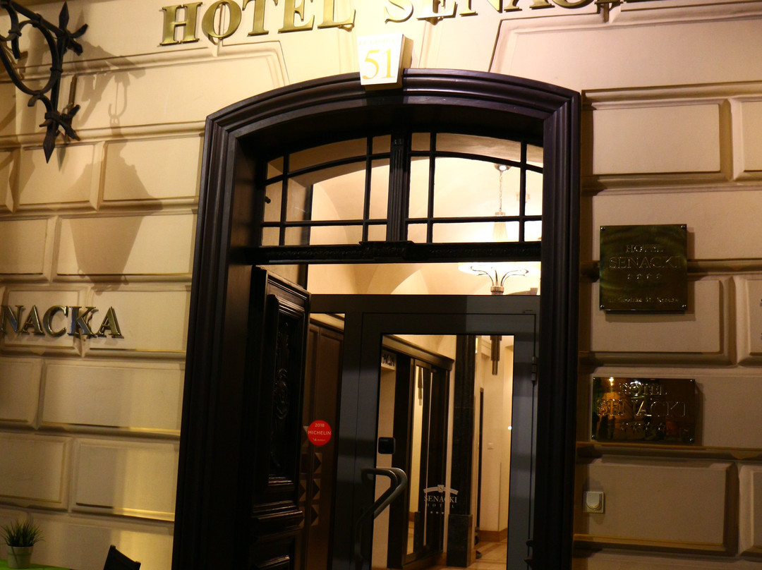 Senacki Hotel主图