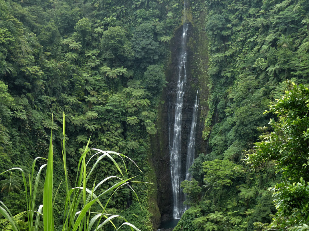 Papapapaitai Falls-阿皮亚必去景点