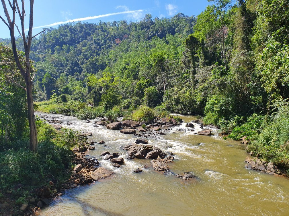 Rainforest Tours (Sinharaja)-Deniyaya必去景点