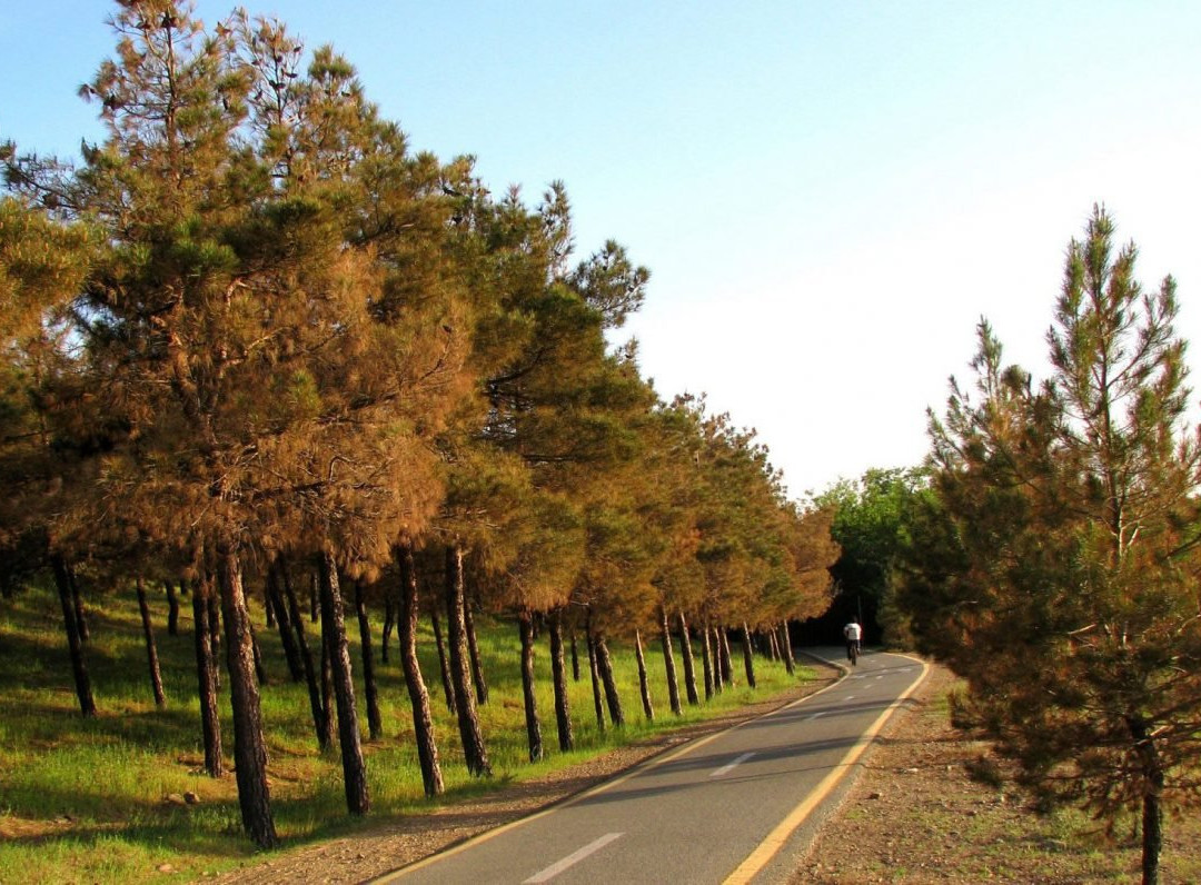 Chitgar Forest Park景点图片