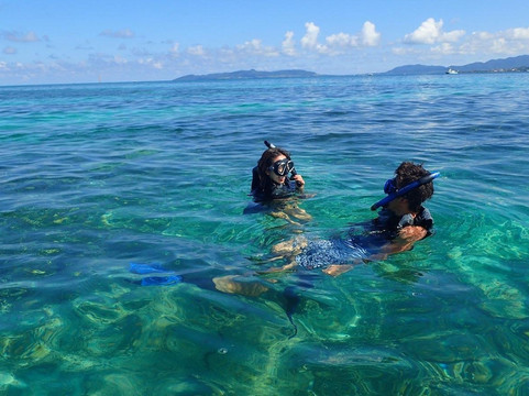 マスタークルーズ-石垣市必去景点