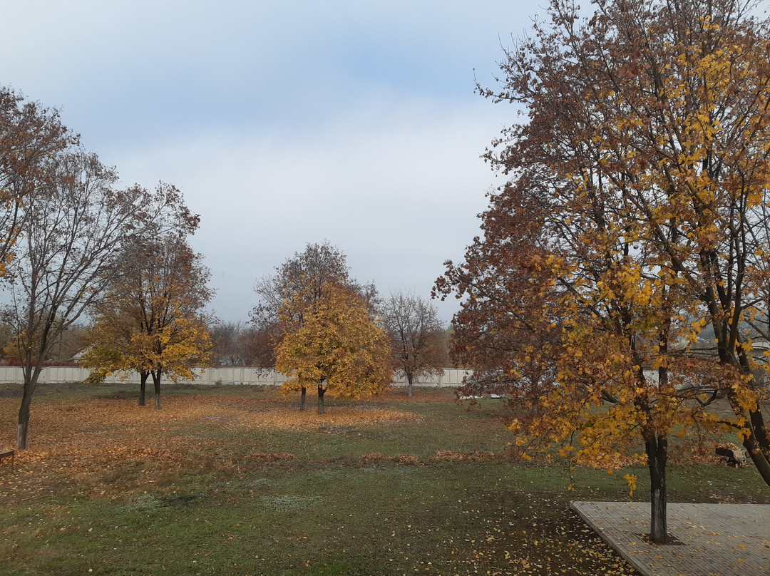 Comfort Park Hotel主图