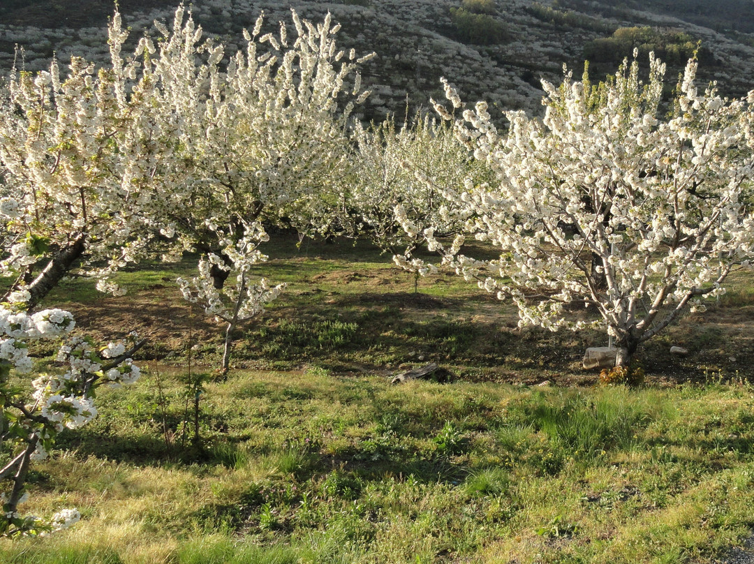 Hotel Los Arenales主图