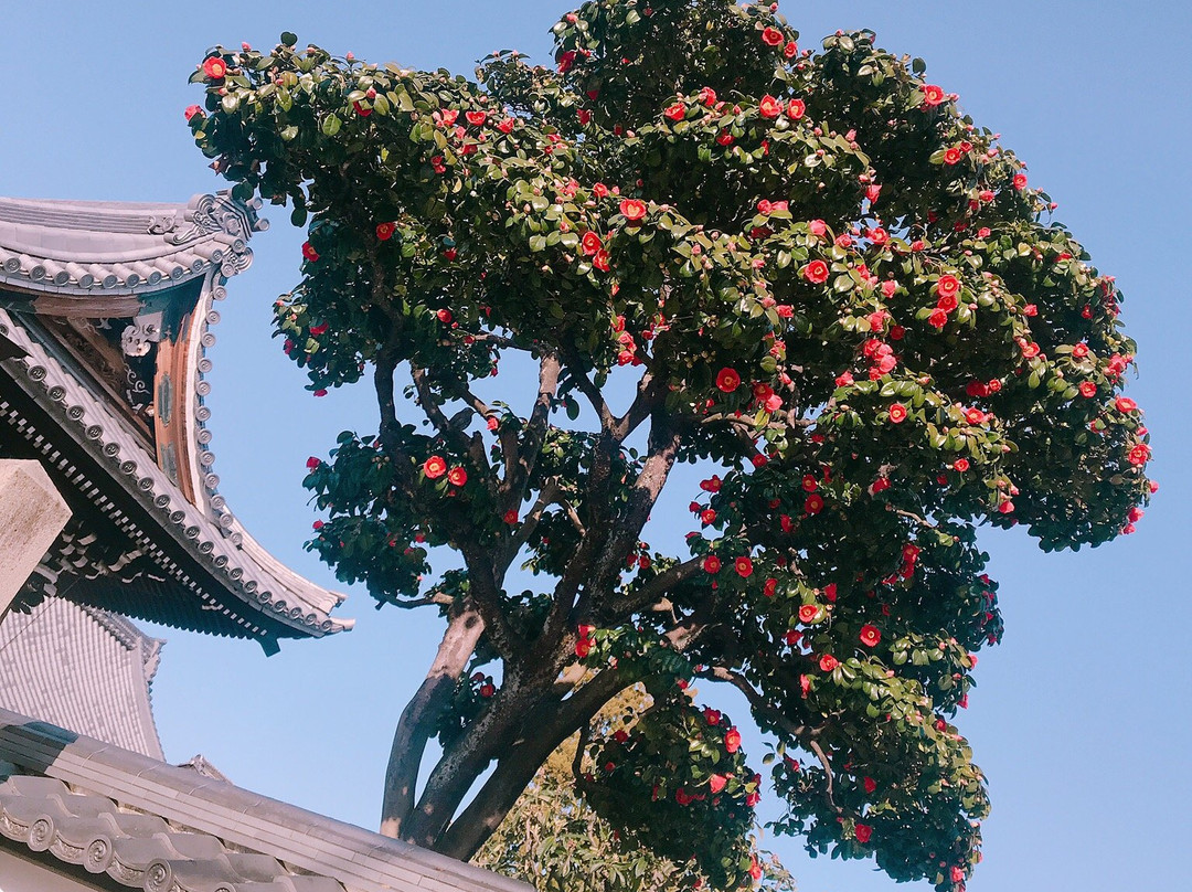 Emmyo-ji Temple-犬山市必去景点