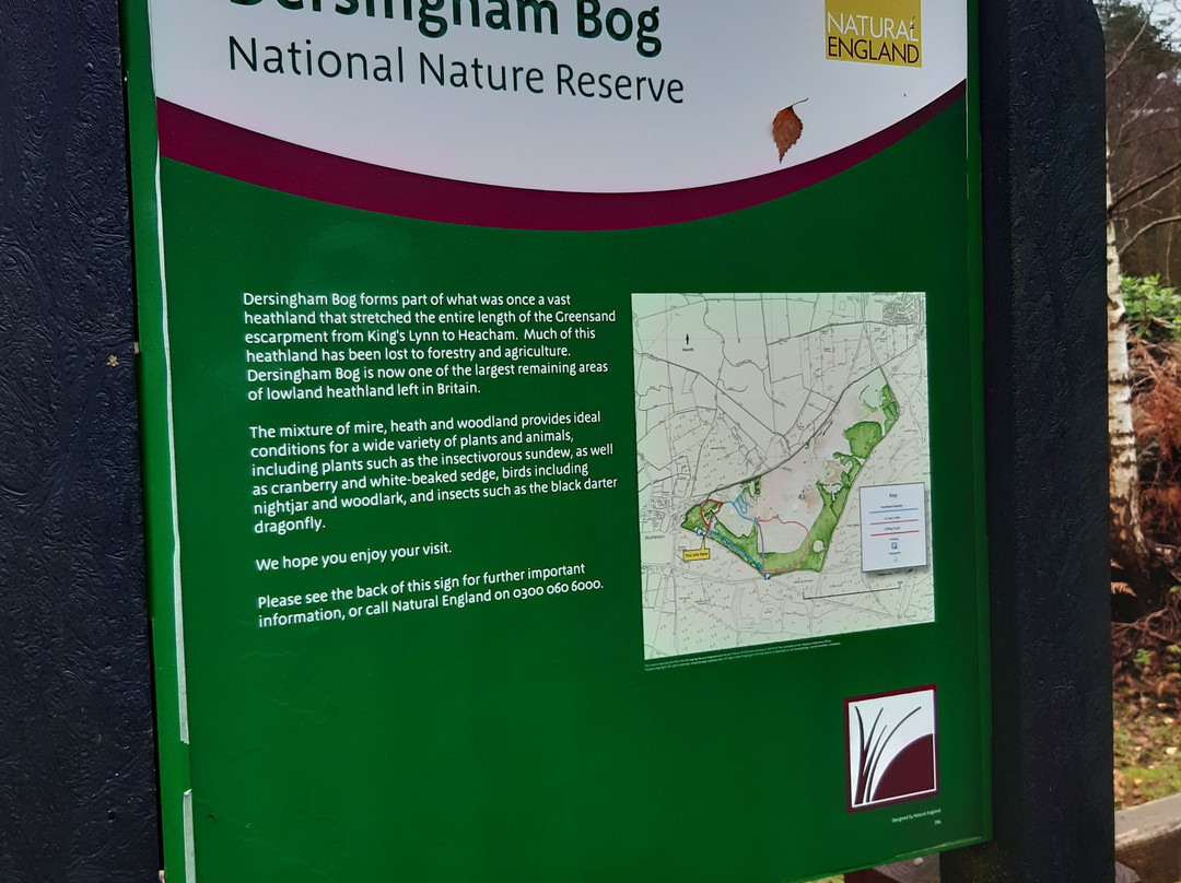 Dersingham Bog-Dersingham必去景点