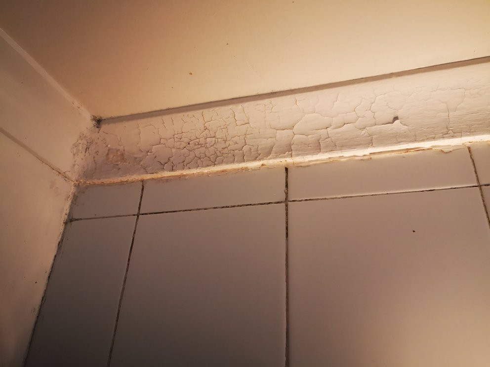 Ridgeview Lodge主图