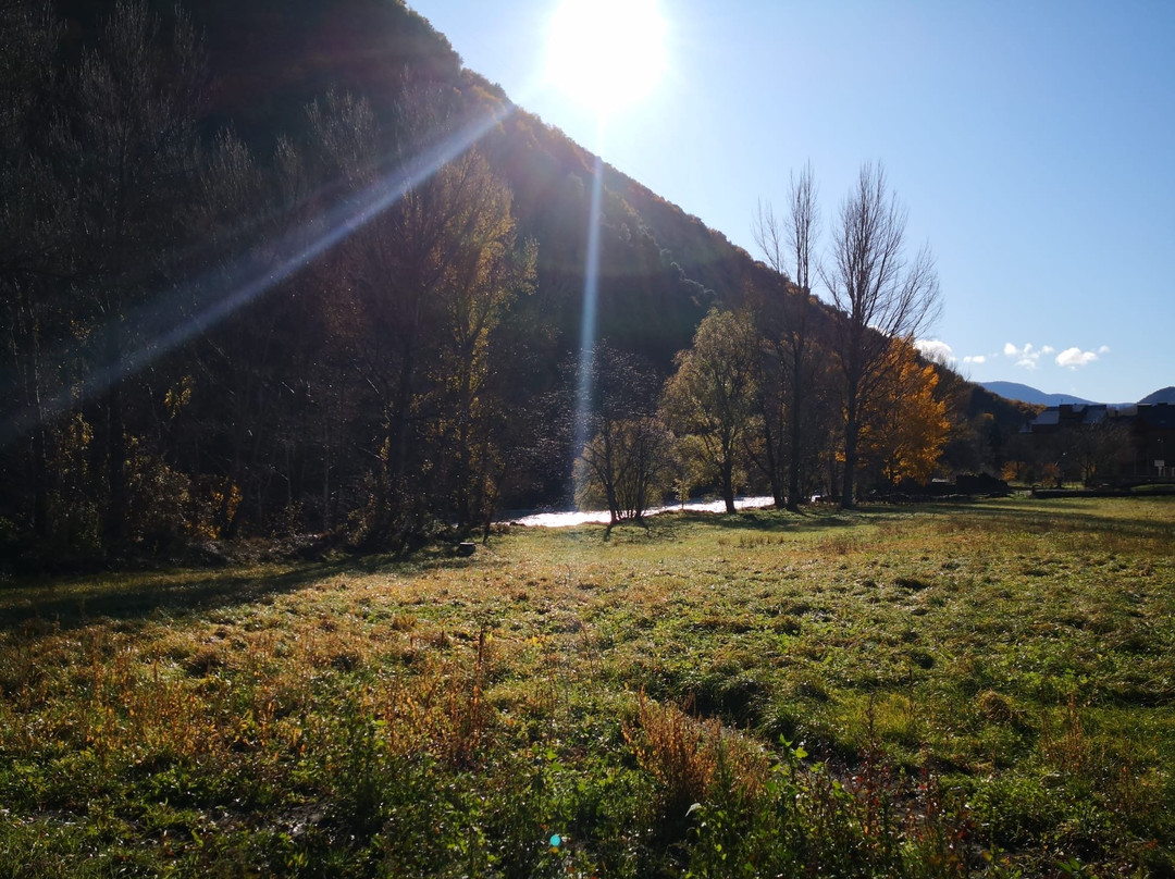 维克多酒店主图