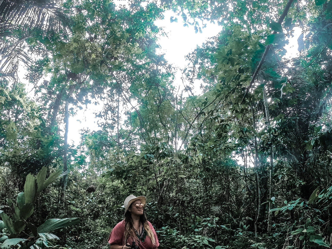 Amazon Garden Eco Lodge景点图片