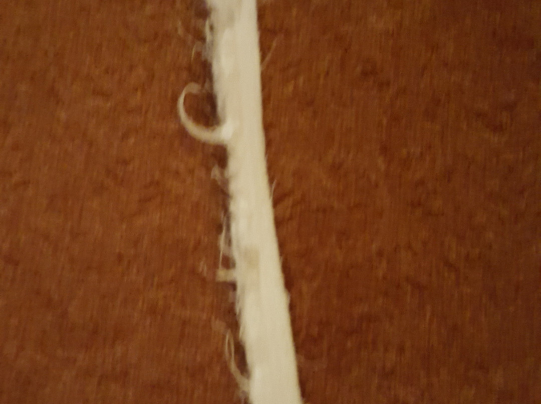 Hotel-Cafe-Restaurant Nagele主图