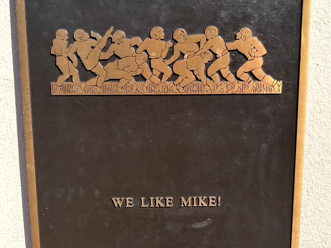 Mike the Tiger's Habitat景点图片