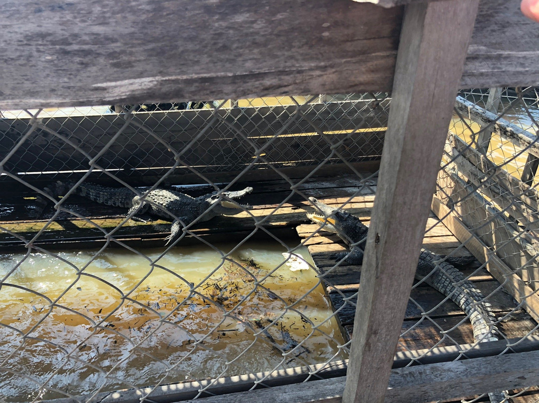 Kampong Kleang Floating Village Tour-暹粒必去景点