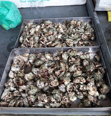 Pedrinhas Beach-Ilha Comprida必去景点