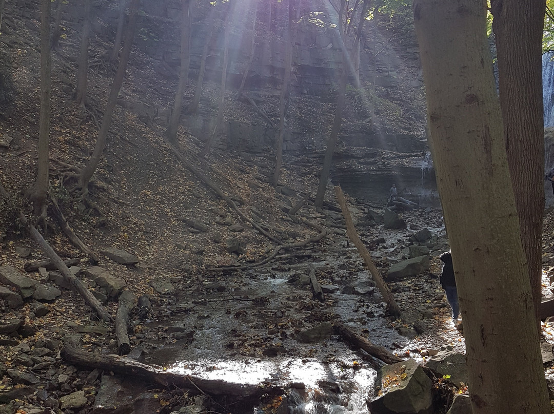 Sherman Falls-汉密尔顿必去景点