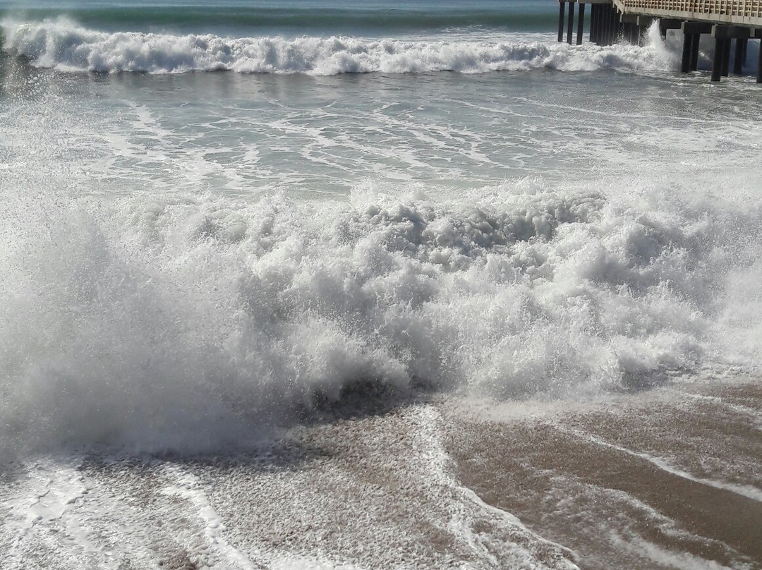 Muelle de Pescadores景点图片