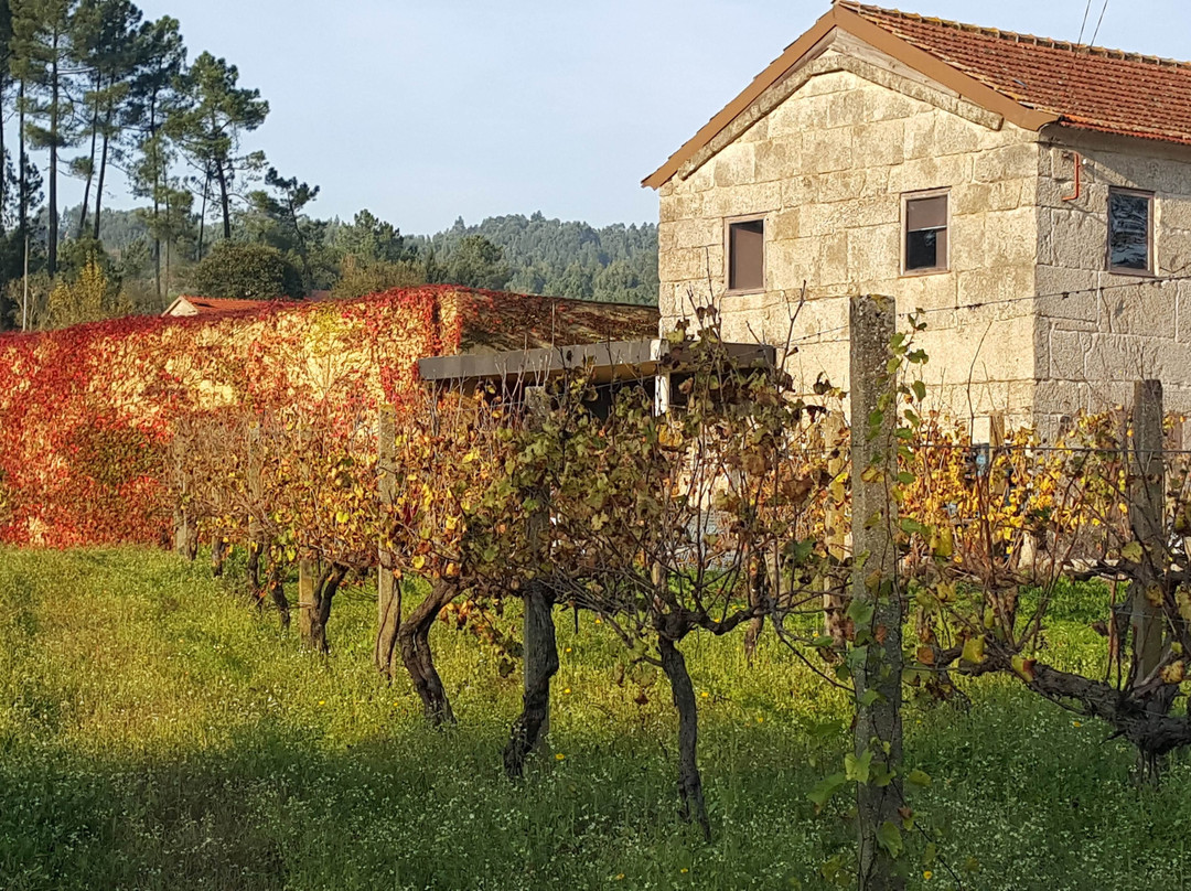 Casa de Cello-Amarante必去景点