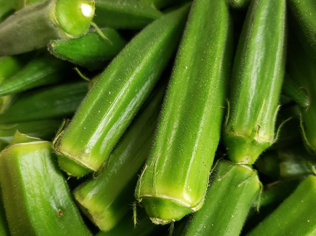 31 Produce and Mining-迈尔斯堡必去景点