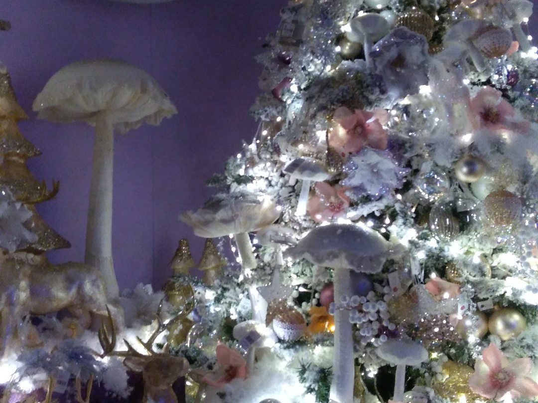 Lancenigo旅游攻略图片